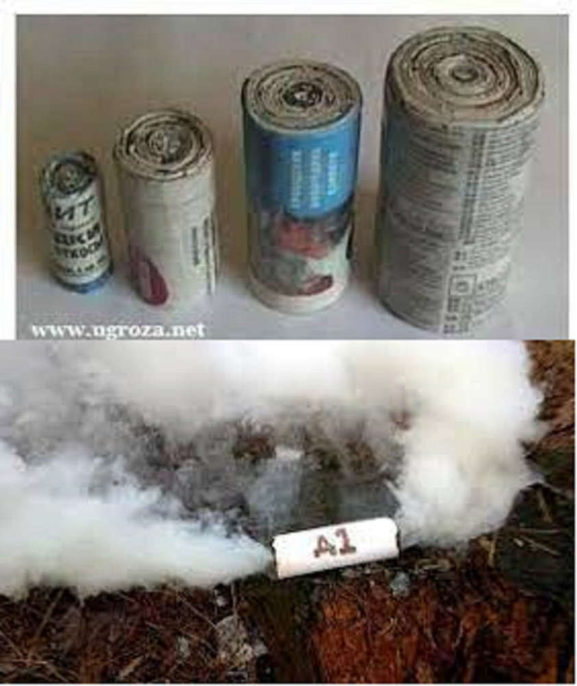 Тайна для библиотекаря (СИ) - _f38356e5d8976362078578931e29edf2