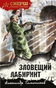 Зловещий лабиринт - Тамоников Александр