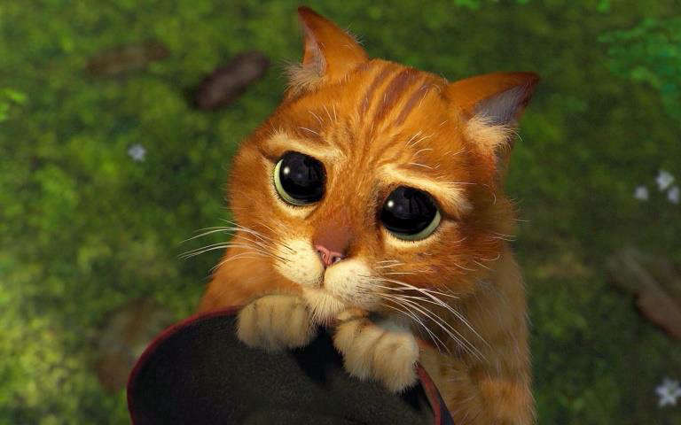 Мое пространственное королевство. Том 1 (СИ) - _737b7df43f42896d4ec21bc45093003a