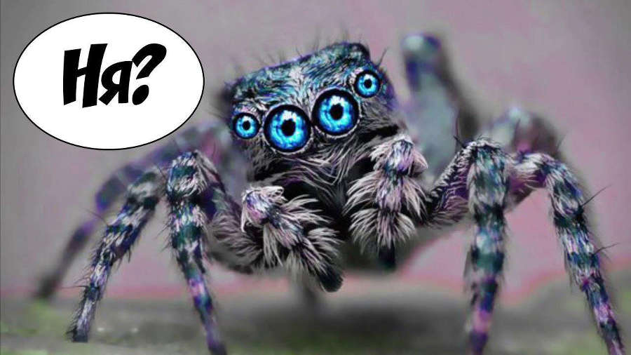 Подземелье по наследству. Том 2 (СИ) - _92991fb57540b3f8e860b1cfc555836c