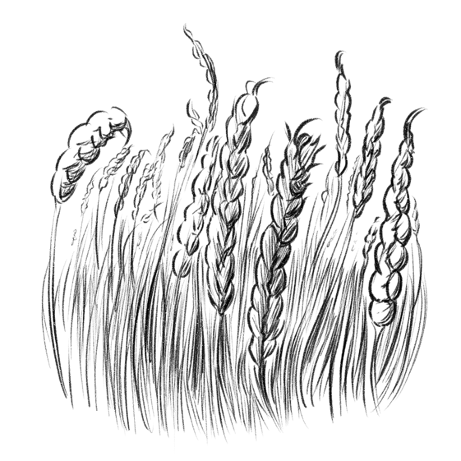 Маршрут - 21 (СИ) - img12.jpg