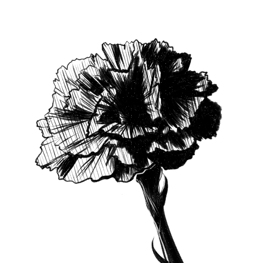 Маршрут - 21 (СИ) - img13.jpg