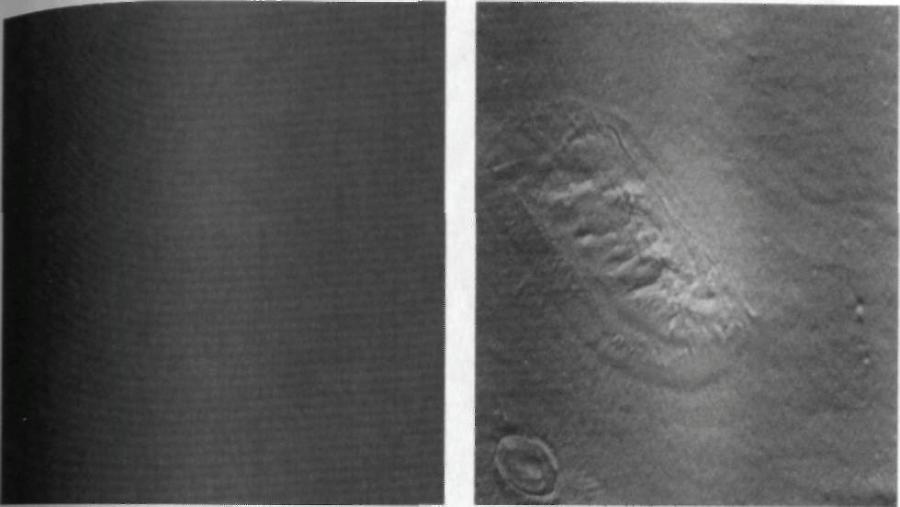 Тёмная миссия. Секретная история NASA - img7B20.jpg