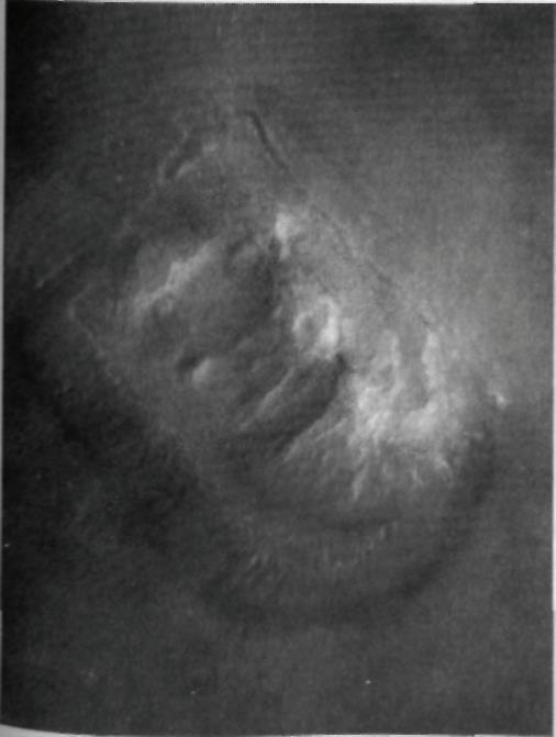 Тёмная миссия. Секретная история NASA - imgF3D7.jpg