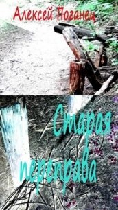 Старая переправа (СИ) - Поганец Алексей