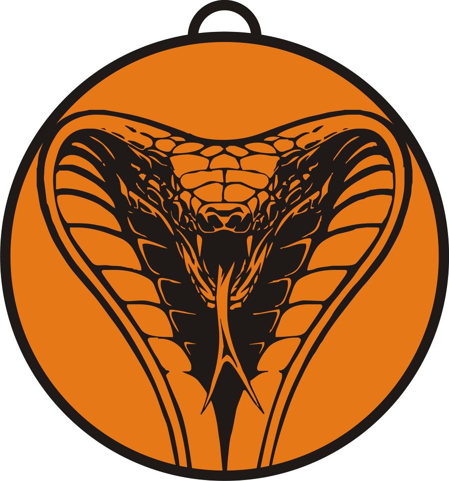 Дневник наемника (СИ) - img17.jpg