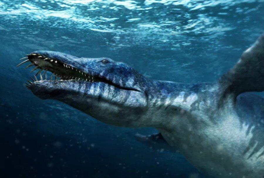 Первый из рода: Калибан, Проклятый зверь (СИ) - pe71a4529191d4faa98da630735b0e465.jpg