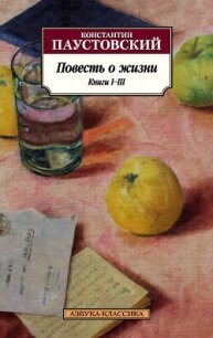 Повесть о жизни. Книги I–III - Паустовский Константин