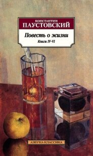 Повесть о жизни. Книги IV–VI - Паустовский Константин