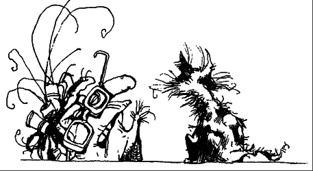 Зуб Уилкинса - _48.png