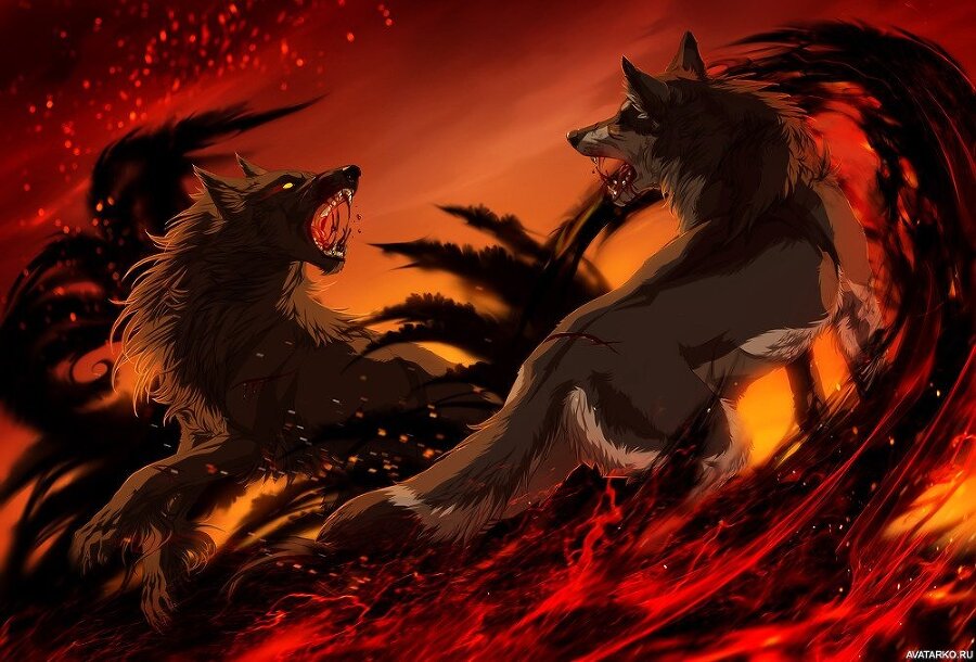 Лабиринт или отбор для Императора (СИ) - img_3