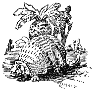 Затерянный мир (и) - i_12.png