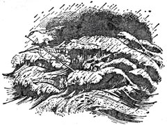 Покоритель зари, или Плавание на край света - pic15.jpg