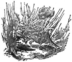 Покоритель зари, или Плавание на край света - pic18.jpg