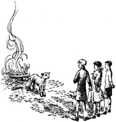 Покоритель зари, или Плавание на край света - pic33.jpg