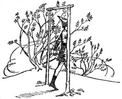 Принц Каспиан (с иллюстрациями) - pic28.jpg