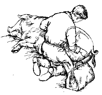 Среди Йоркширских холмов - i_027.png