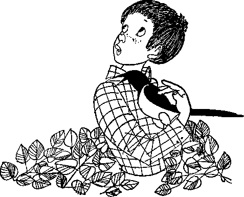 Большая медведица смотрит на город - p0040.png