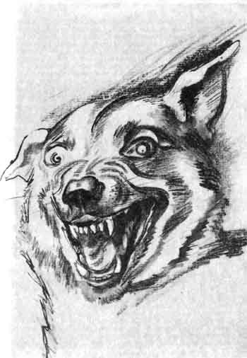 Каратели - doc2fb_image_02000007.jpg