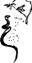 Тайна Рио де Оро - i_028.png