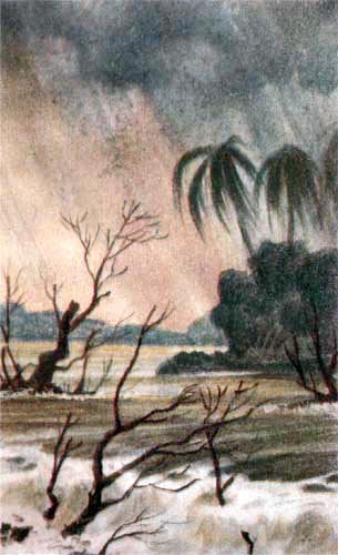 Зов Амазонки - i_041.jpg