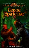 Серое Братство - Шелонин Олег Александрович