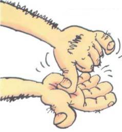 Неандертальский мальчик в школе и дома - any2fbimgloader96