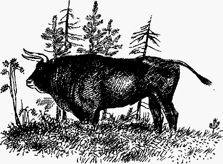 Волшебный браслет - i_058.png