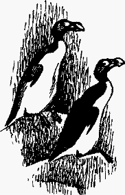 Волшебный браслет - i_060.png