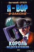 Серия книг Медвежатник