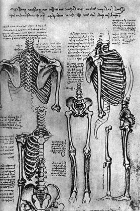 Популярная история медицины - Autogen_eBook_id81