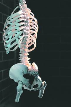 Популярная история медицины - Autogen_eBook_id186