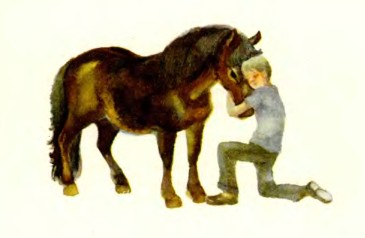 Рассказы дрессировщика - i_010.jpg