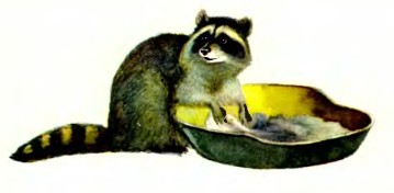 Рассказы дрессировщика - i_040.jpg