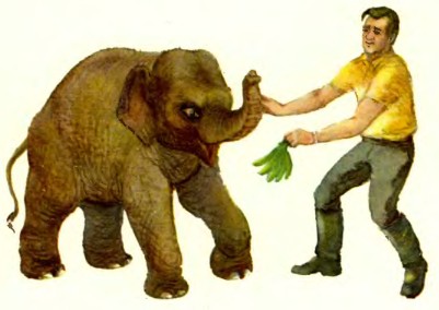 Рассказы дрессировщика - i_049.jpg