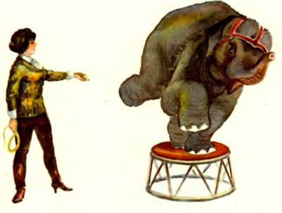 Рассказы дрессировщика - i_051.jpg