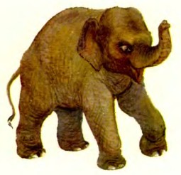 Рассказы дрессировщика - i_053.jpg