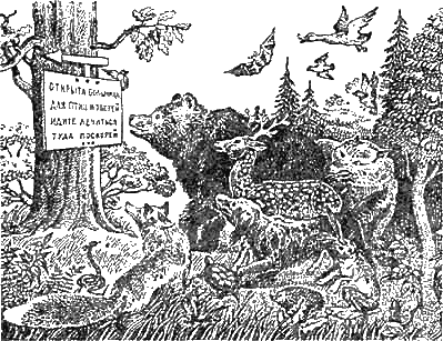 Доктор Айболит (с иллюстрациями) - g04.png