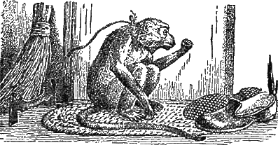 Доктор Айболит (с иллюстрациями) - g05.png