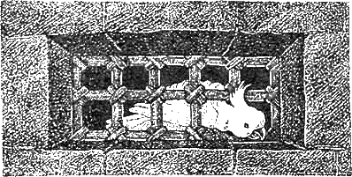 Доктор Айболит (с иллюстрациями) - g18.png