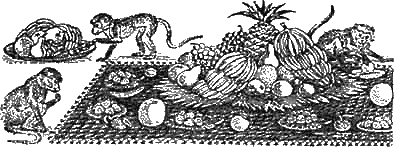 Доктор Айболит (с иллюстрациями) - g23.png