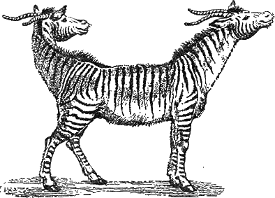 Доктор Айболит (с иллюстрациями) - g24.png