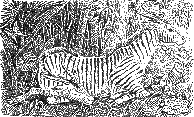 Доктор Айболит (с иллюстрациями) - g25.png