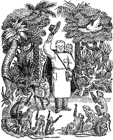 Доктор Айболит (с иллюстрациями) - g26.png