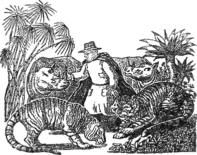 Доктор Айболит (с иллюстрациями) - g27.png