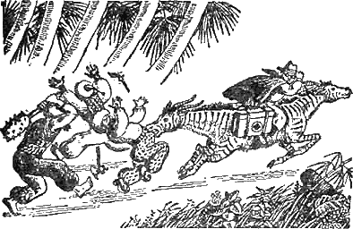 Доктор Айболит (с иллюстрациями) - g28.png