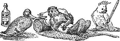 Доктор Айболит (с иллюстрациями) - g34.png