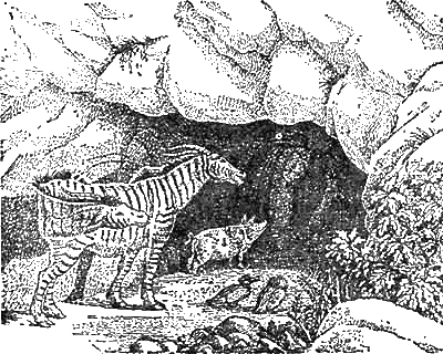 Доктор Айболит (с иллюстрациями) - g36.png