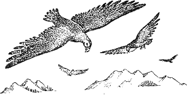 Доктор Айболит (с иллюстрациями) - g38.png