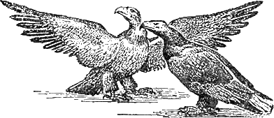 Доктор Айболит (с иллюстрациями) - g39.png